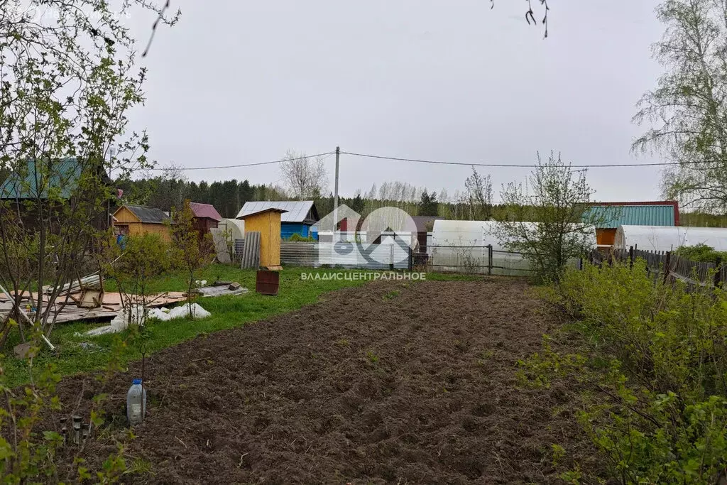 Участок в Новосибирск, СНТ Любитель, 4-й проезд (5 м) - Фото 0