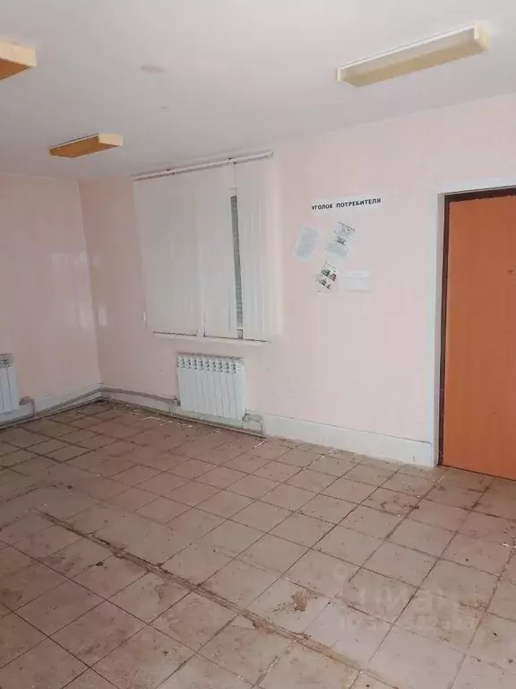Помещение свободного назначения в Мордовия, Ичалковский район, с. ... - Фото 1
