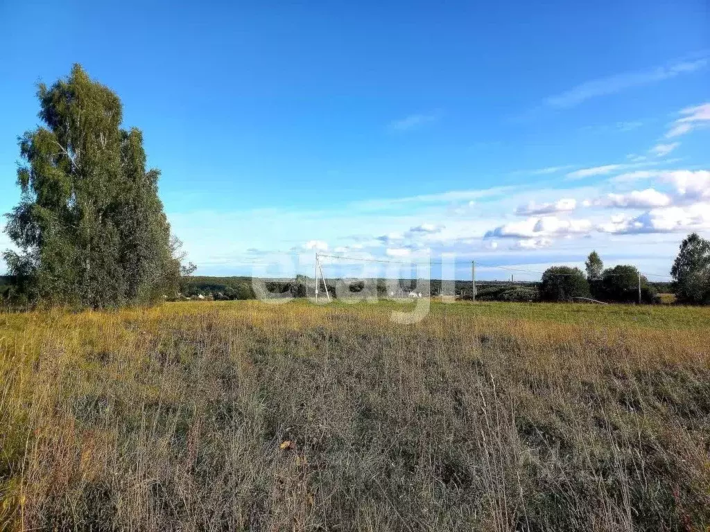 Участок в Калужская область, Калуга городской округ, д. Матюнино  ... - Фото 2