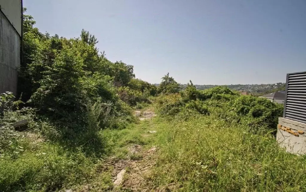 Участок в Краснодарский край, Сочи городской округ, с. Васильевка ул. ... - Фото 2