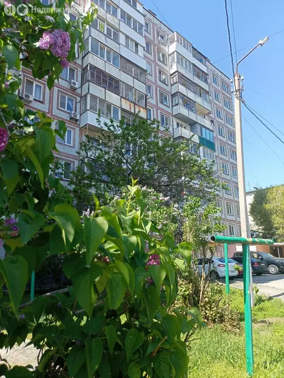 1-комнатная квартира: Ростов-на-Дону, микрорайон Северный, бульвар ... - Фото 0