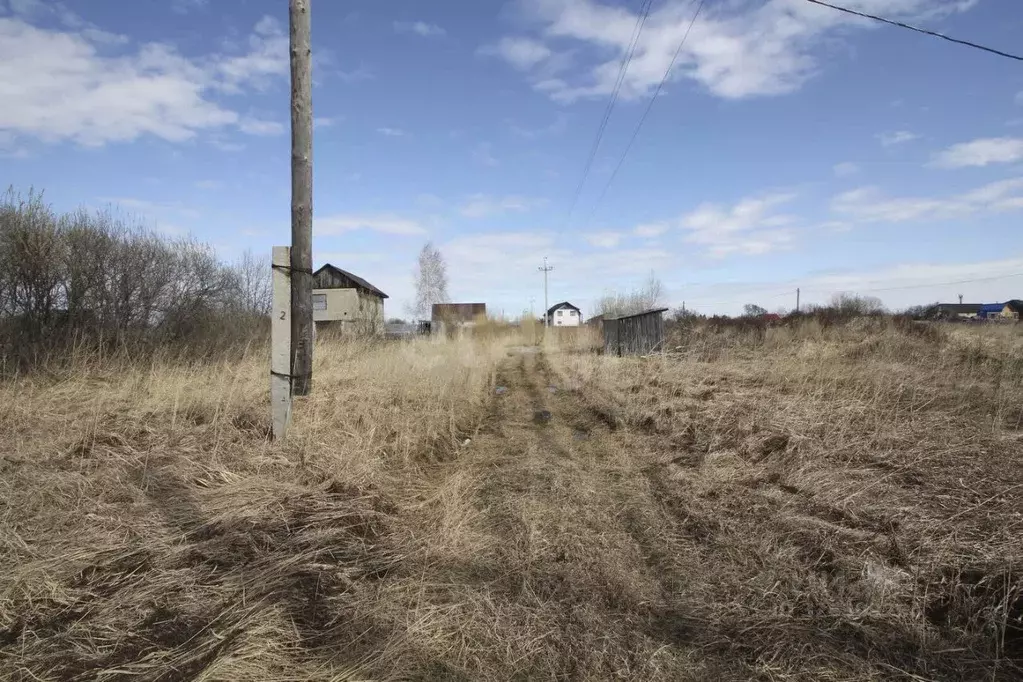 Участок в Тюменская область, Тюмень Рябинка-2 садовое товарищество, ... - Фото 1