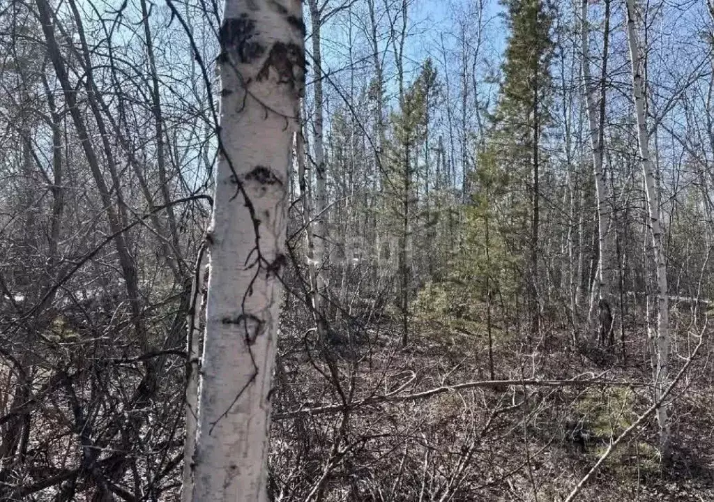 Участок в Саха (Якутия), Якутск проезд Раздольный (8.95 сот.) - Фото 1