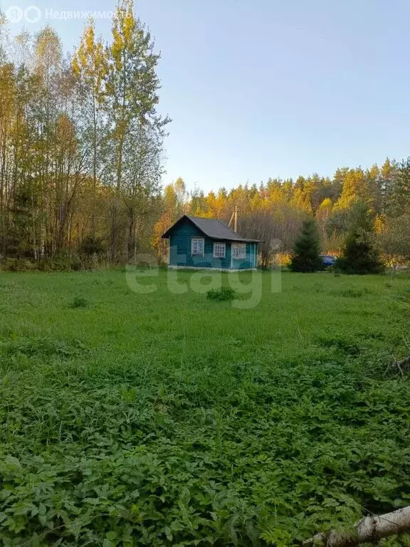 Участок в Красносельский район, Гридинское сельское поселение, садовые ... - Фото 1