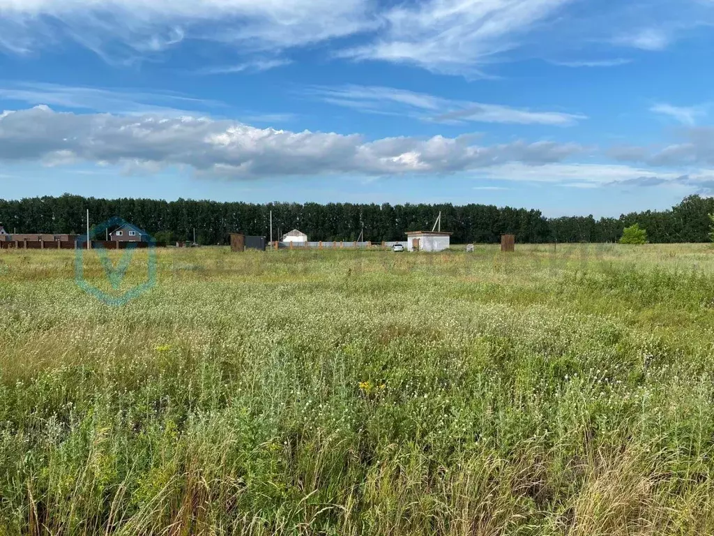 Участок в Омская область, Омский район, с. Усть-Заостровка, Иртышские ... - Фото 0