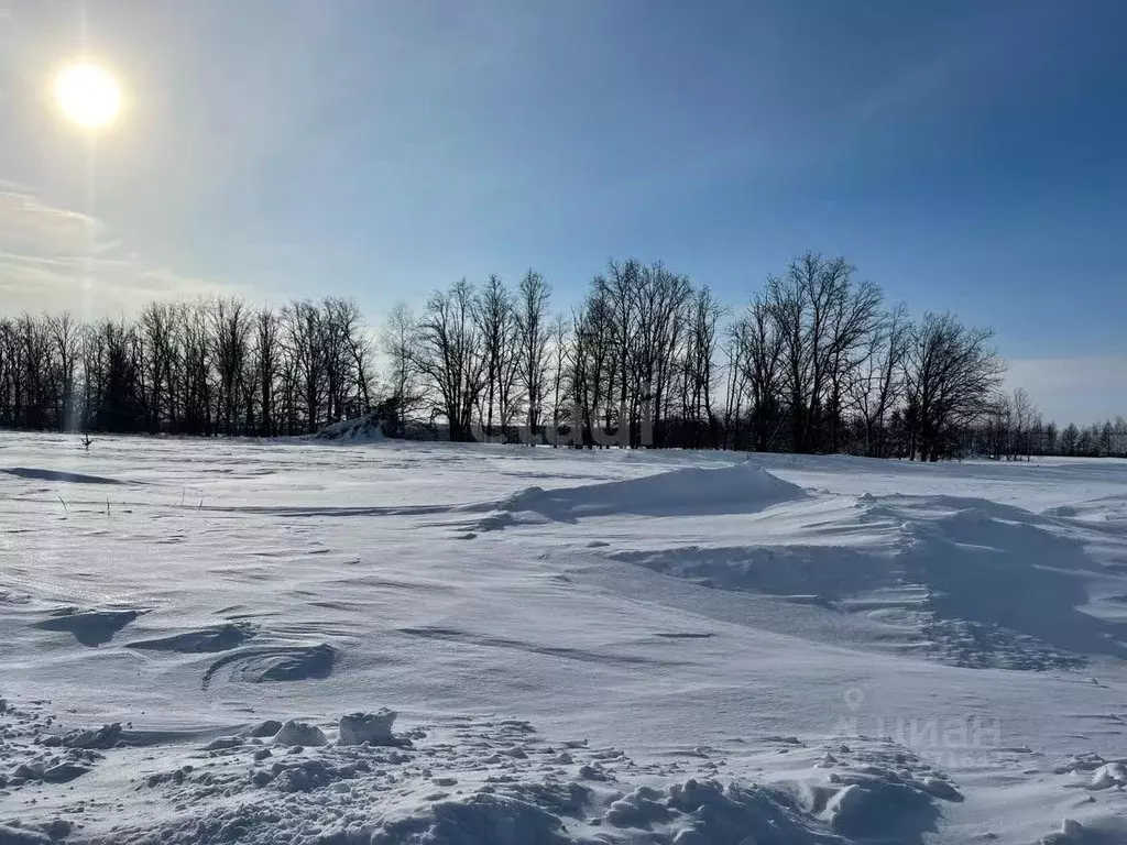 Участок в Татарстан, Лаишевский район, Нармонское с/пос, с. Караишево ... - Фото 0