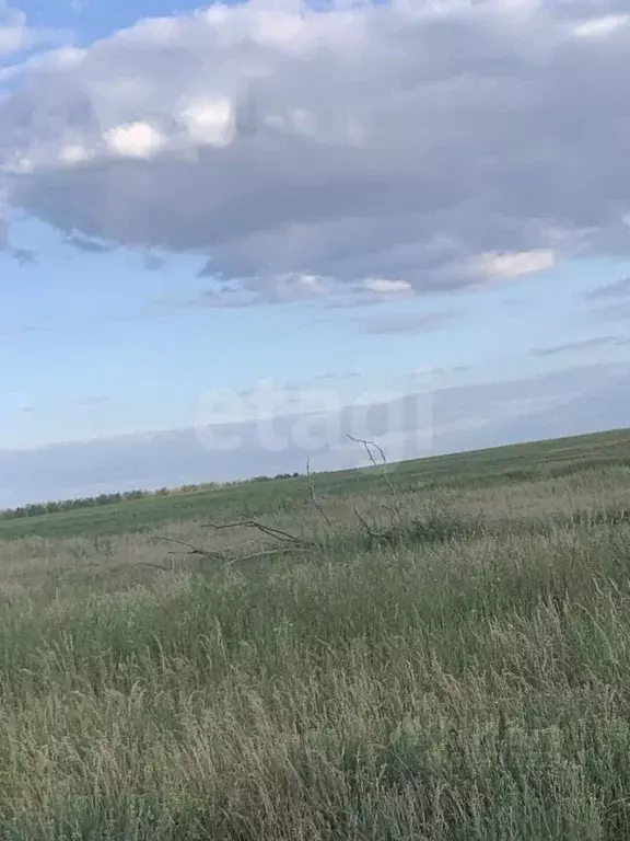 Участок в Калмыкия, Целинный район, с. Троицкое ул. Ойратская (6.0 ... - Фото 0