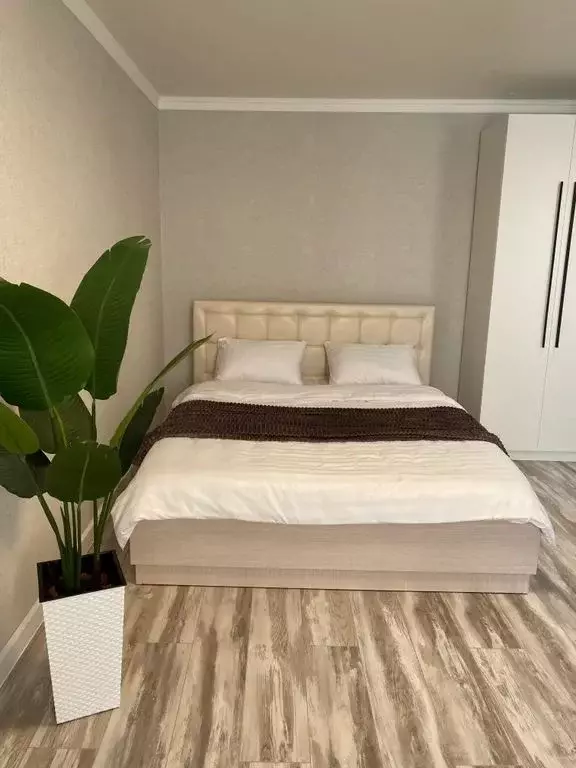 1-к кв. Башкортостан, Уфа ул. Степана Халтурина, 57 (31.0 м) - Фото 1