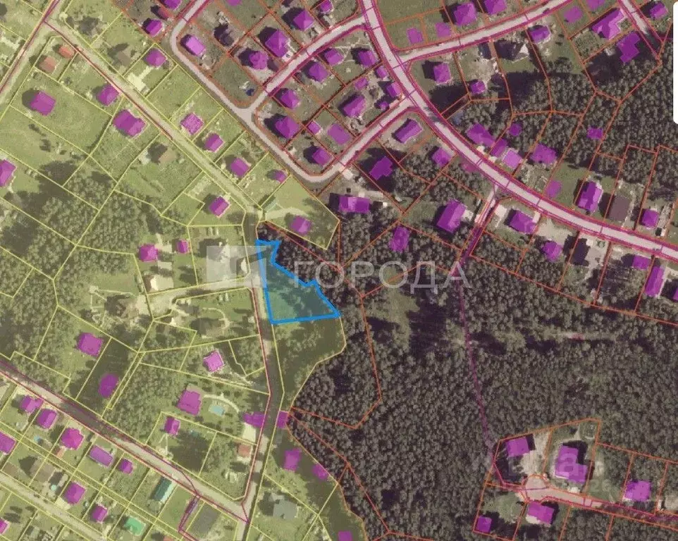 Участок в Новосибирская область, Новосибирский район, Криводановский ... - Фото 2