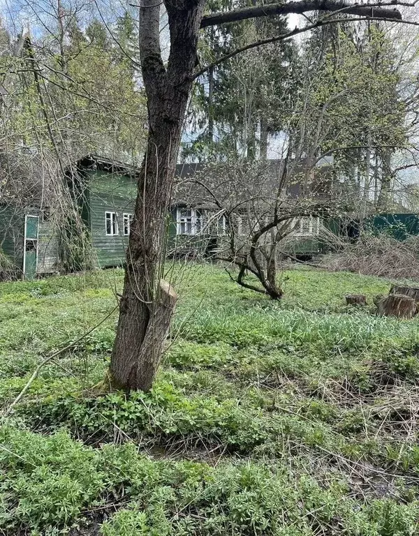 Участок в Московская область, Химки Фирсановка мкр, ул. Кирова, 61 ... - Фото 2