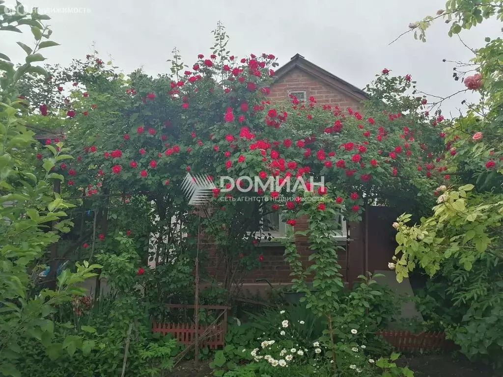 Дом в Новочеркасск, Новая улица, 24 (75 м) - Фото 1