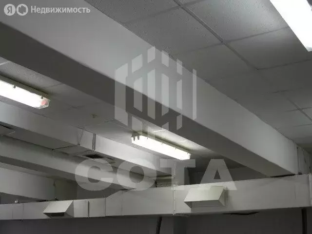 Помещение свободного назначения (3.6 м) - Фото 1