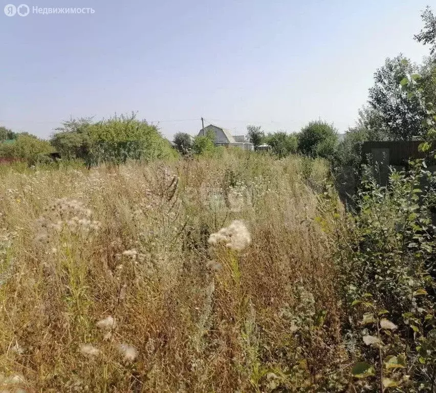 Участок в Таптыковский сельсовет, СНТ Пласт (8 м) - Фото 1