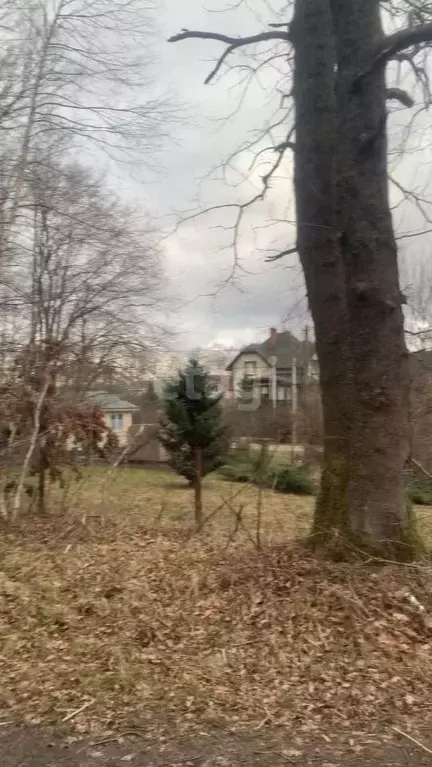 Участок в Калининградская область, Пионерский Степной СНТ, 763 (4.7 ... - Фото 2