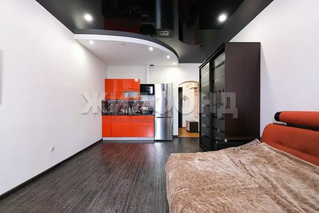 1-к кв. Новосибирская область, Новосибирск ул. Виктора Уса, 4 (28.1 м) - Фото 2