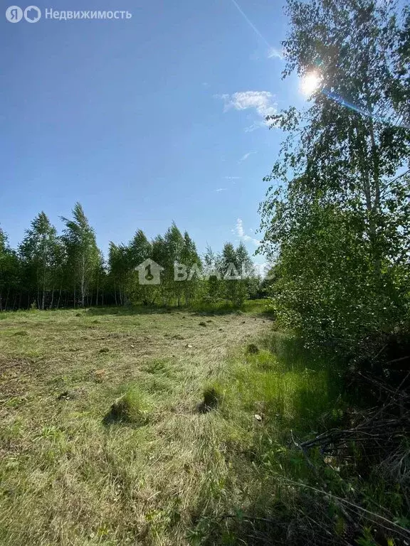 Участок в Баклашинское муниципальное образование, территория Ручеёк, ... - Фото 1