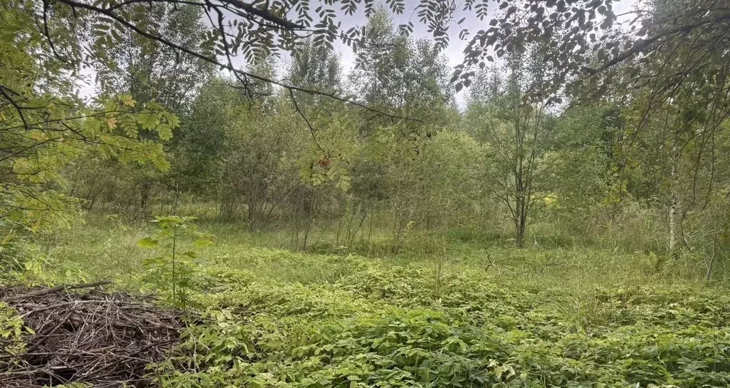 Участок в Ленинградская область, Всеволожск Румболово мкр,  (15.0 ... - Фото 1