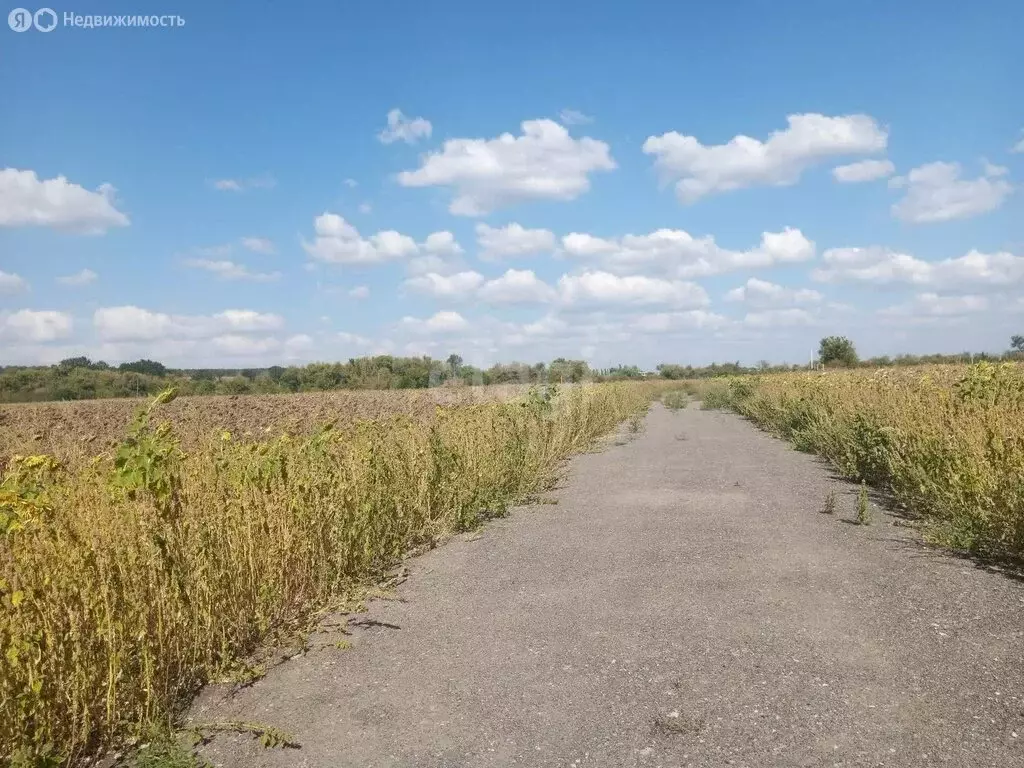 Участок в Новогремяченское, Сливовая улица (7.7 м) - Фото 1