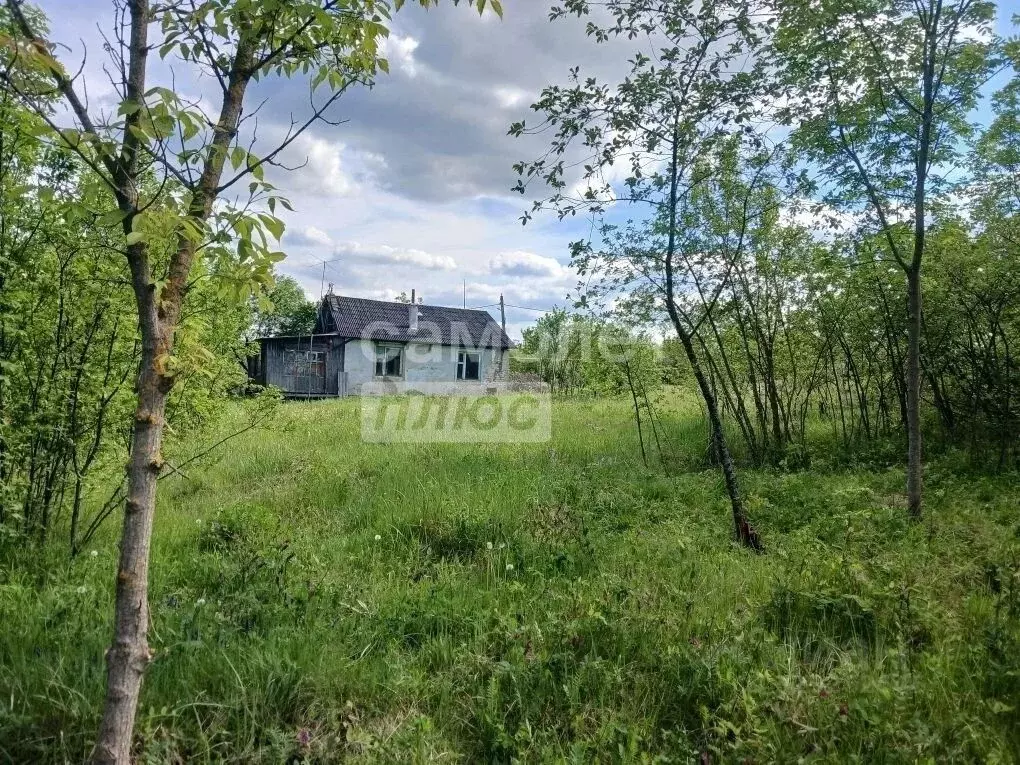 Дом в Воронежская область, Хохольский район, с. Гремячье ул. Чкалова, ... - Фото 1