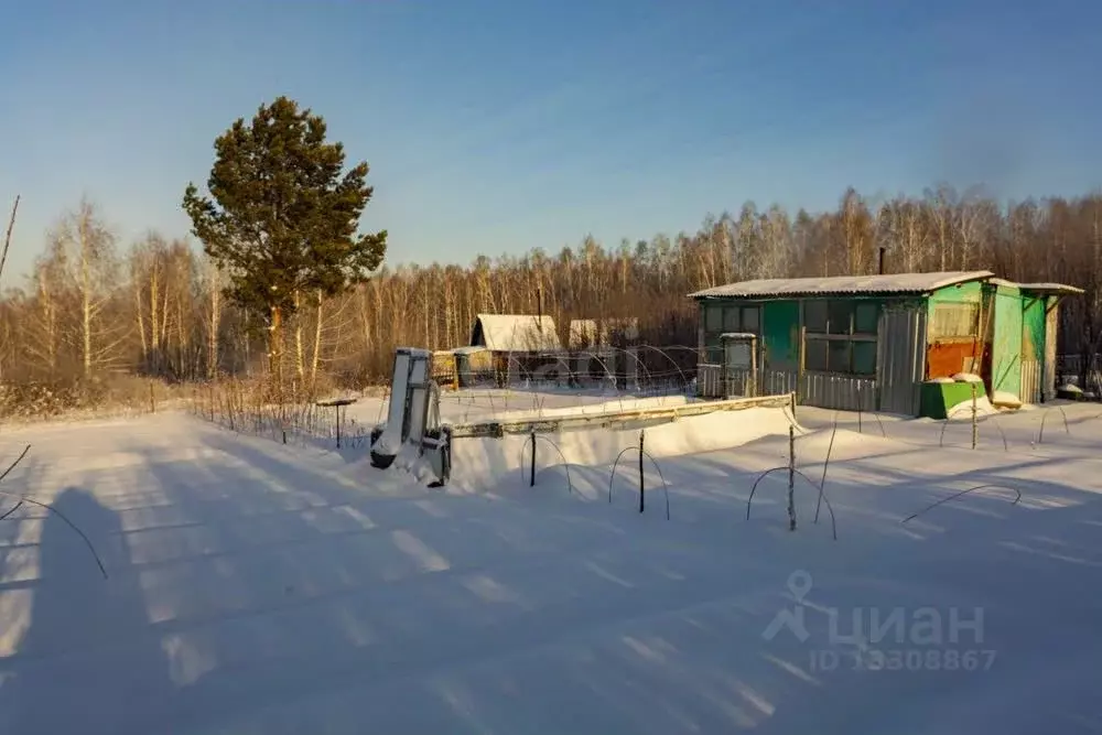 Участок в Кемеровская область, Новокузнецк Дружба СНТ, ул. Луговая ... - Фото 0