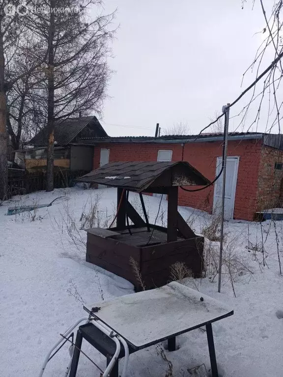 Дом в Омск, садоводческое некоммерческое товарищество Сибирский ... - Фото 2