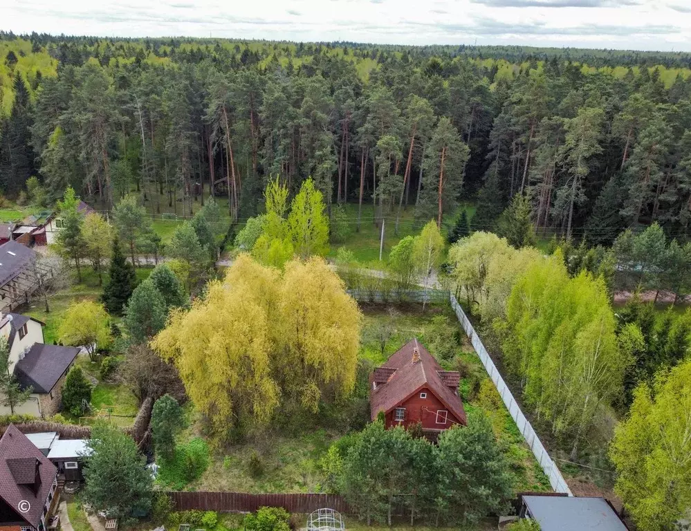 Участок в Московская область, Истра городской округ, д. Борки ул. ... - Фото 0