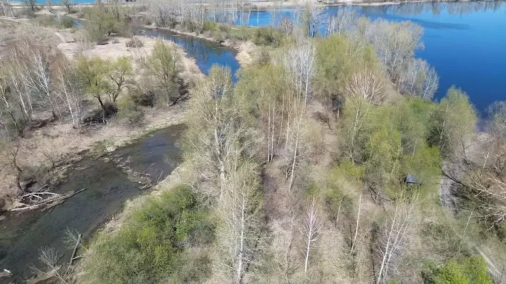 Участок в Алтайский край, Советский район, с. Шульгинка ул. 1-я ... - Фото 0