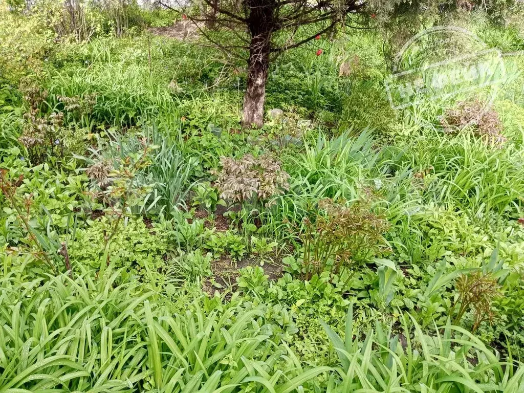 Участок в Ростовская область, Ростов-на-Дону пер. 2-й Мужественный ... - Фото 1