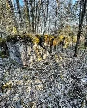 Участок в Ленинградская область, Выборгский район, Каменногорское ... - Фото 1