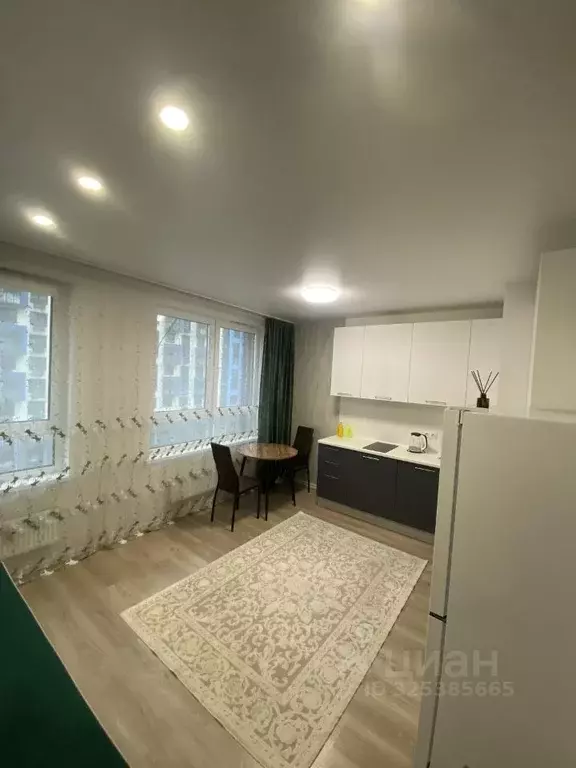 Студия Московская область, Домодедово городской округ, с. Ям ул. ... - Фото 1