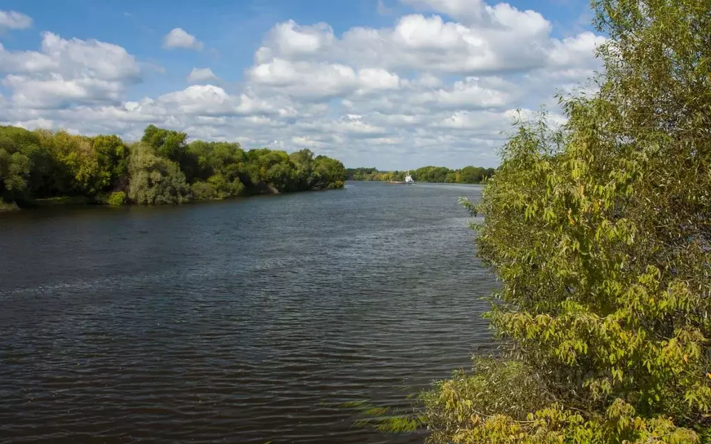 Участок в Московская область, Раменский муниципальный округ, Адмирал ... - Фото 2
