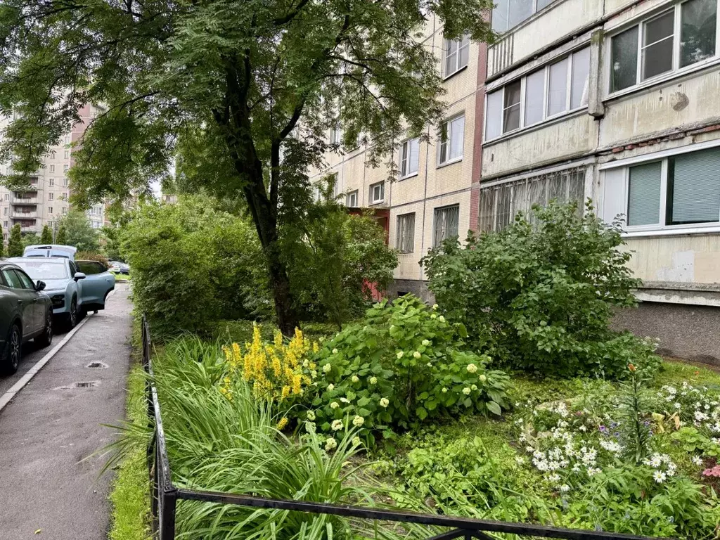 2-к кв. Санкт-Петербург ул. Асафьева, 10 (45.9 м) - Фото 1