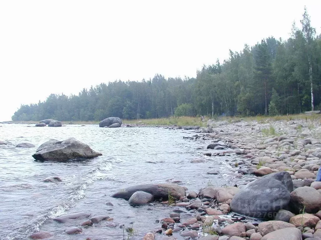 Участок в Ленинградская область, Приозерский район, Ларионовское с/пос ... - Фото 1