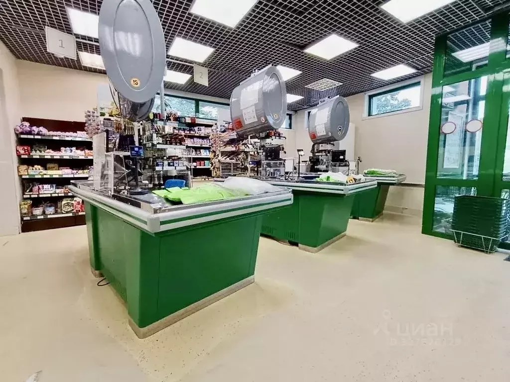 Помещение свободного назначения в Москва Белореченская ул., 41К1 (235 ... - Фото 1