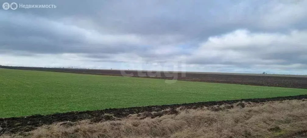 Участок в Первомайское, Горная улица (200 м) - Фото 1