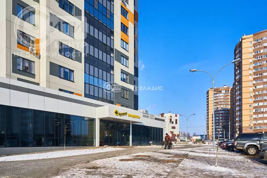 2-к кв. Воронежская область, Воронеж ул. Полковника Богомолова, 3 ... - Фото 1