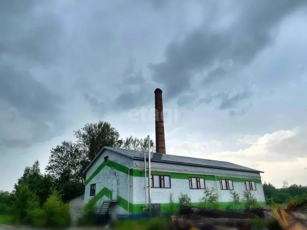 Склад в Ярославская область, Борисоглебский рп ул. Красноармейская, 72 ... - Фото 1