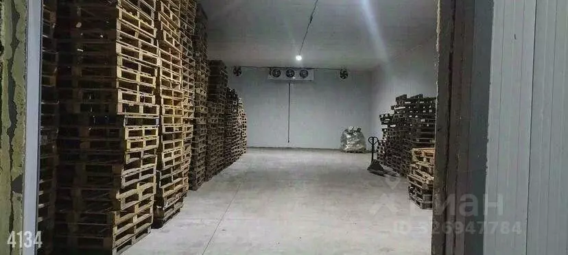 Склад в Краснодарский край, Краснодар пос. Дружелюбный, ул. ... - Фото 2