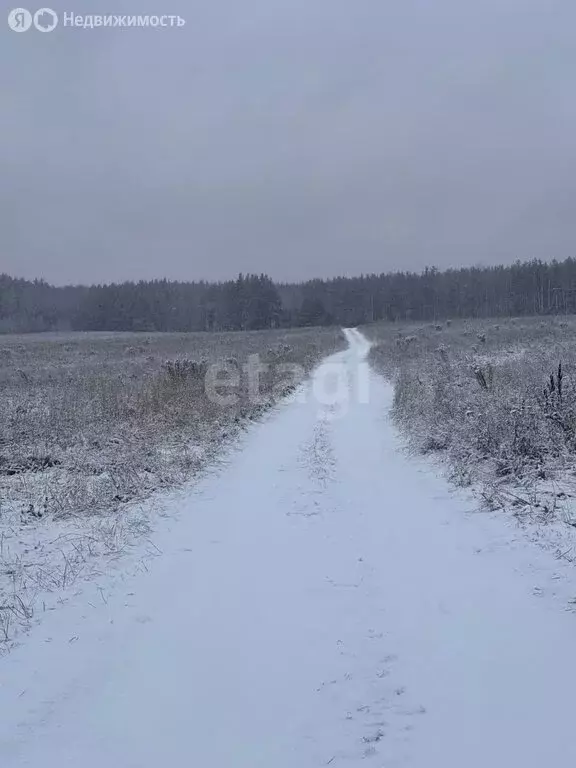Участок в Нижегородская область, Балахнинский муниципальный округ, ... - Фото 1