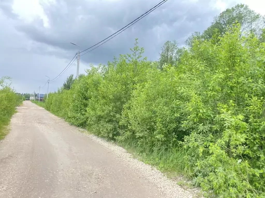 Участок в Московская область, Лосино-Петровский городской округ, д. ... - Фото 1