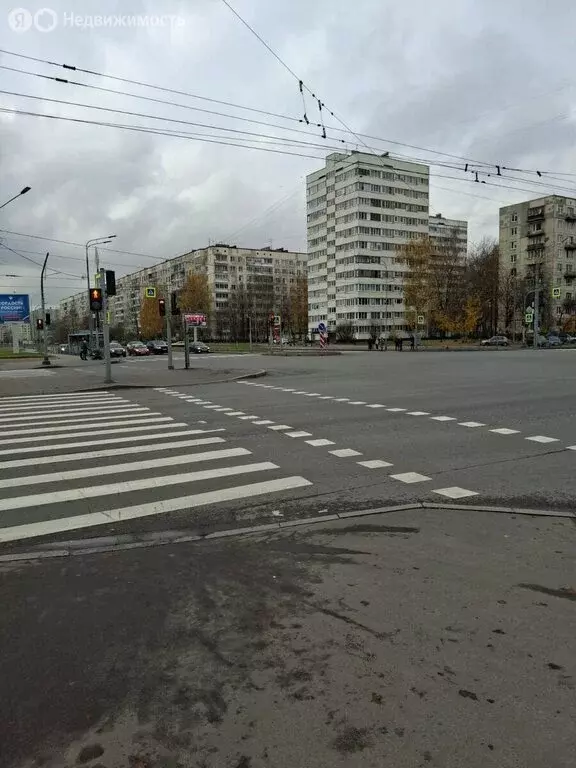 1-комнатная квартира: Санкт-Петербург, проспект Луначарского, 90к1 ... - Фото 1