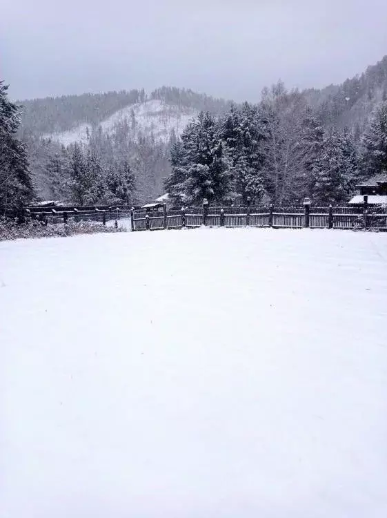 Участок в Иркутская область, Шелеховский район, пос. Большой Луг ул. ... - Фото 1