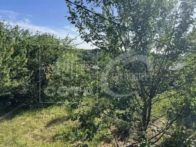Участок в Воронежская область, Рамонский район, Березовское с/пос, ... - Фото 2