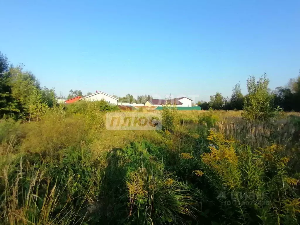 Участок в Московская область, Одинцовский городской округ, д. ... - Фото 0