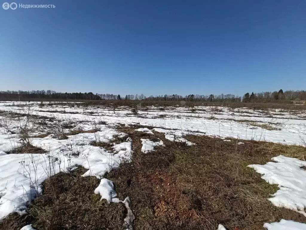 Участок в деревня Колюпаново, Ключевая улица (12.5 м) - Фото 1