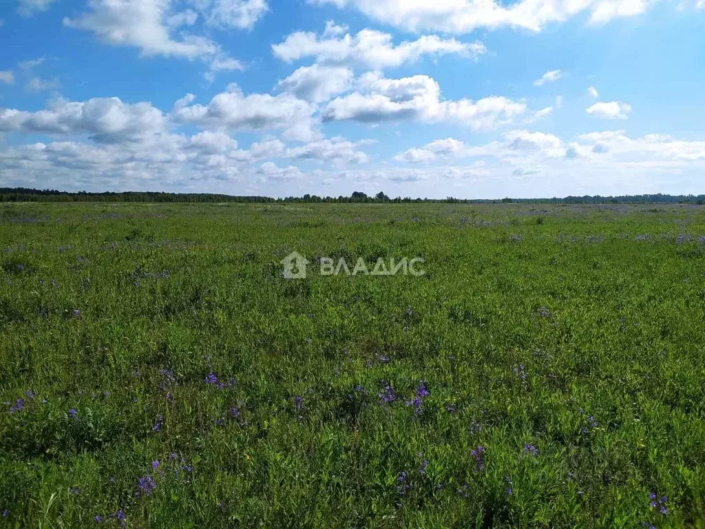 Участок в Ивановская область, Лежневское с/пос, с. Ухтохма  (10.0 ... - Фото 1