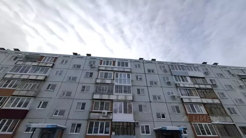 2-к кв. Самарская область, Тольятти 2-й кв-л, бул. Кулибина, 9 (46.0 ... - Фото 1