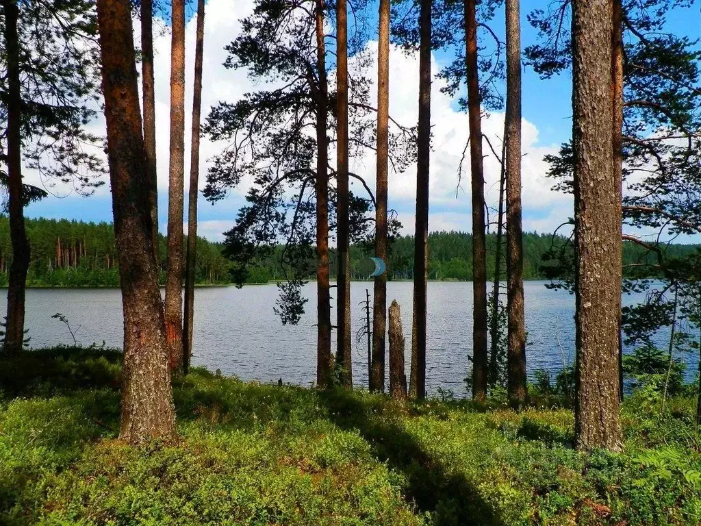 Участок в Башкортостан, Иглинский сельсовет, д. Ягодная ул. Некрасова, ... - Фото 1