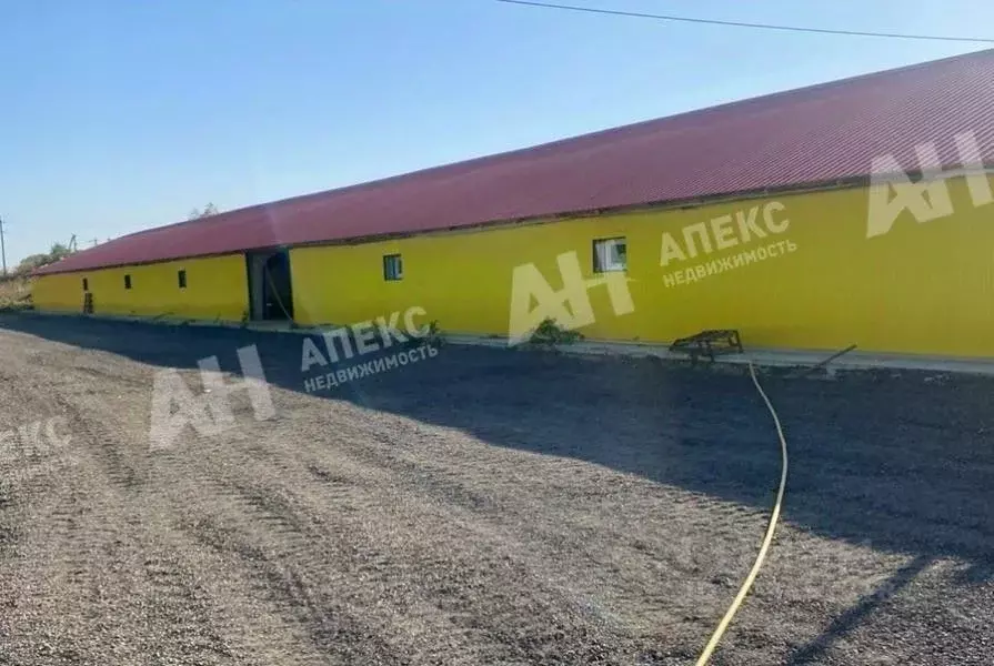 Склад в Московская область, Кашира городской округ, д. Барабаново ул. ... - Фото 1