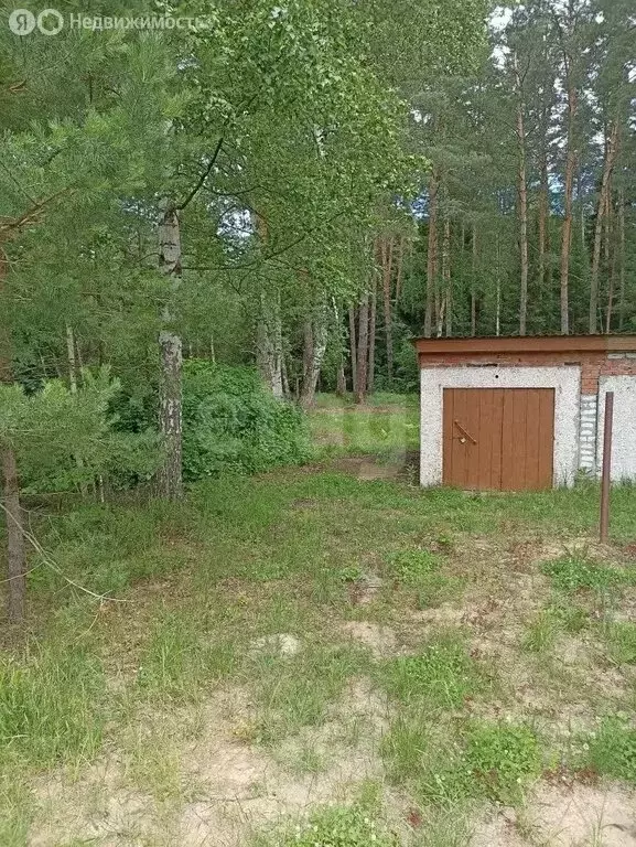 Участок в село Кокшайск, улица Энергетиков (9.1 м) - Фото 2